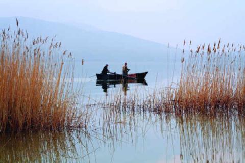 Απαγόρευση αλιείας στη λίμνη Βεγορίτιδα