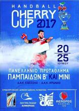 Handball Cherry Cup 2017