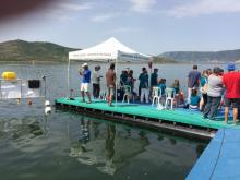 Πανελλήνιοι Κολυμβητικοί Αγώνες Open Water στη λίμνη Βεγορίτιδα